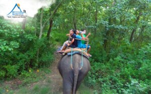 Chitwan National Park elephant tour