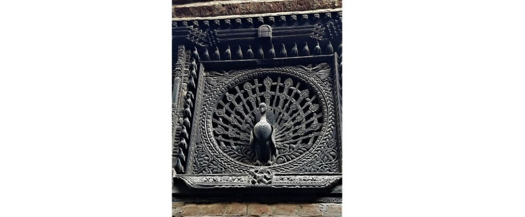 The Peacock Window